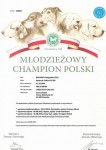 Mł.Champipn Polski BAKARAT  Cobegarden